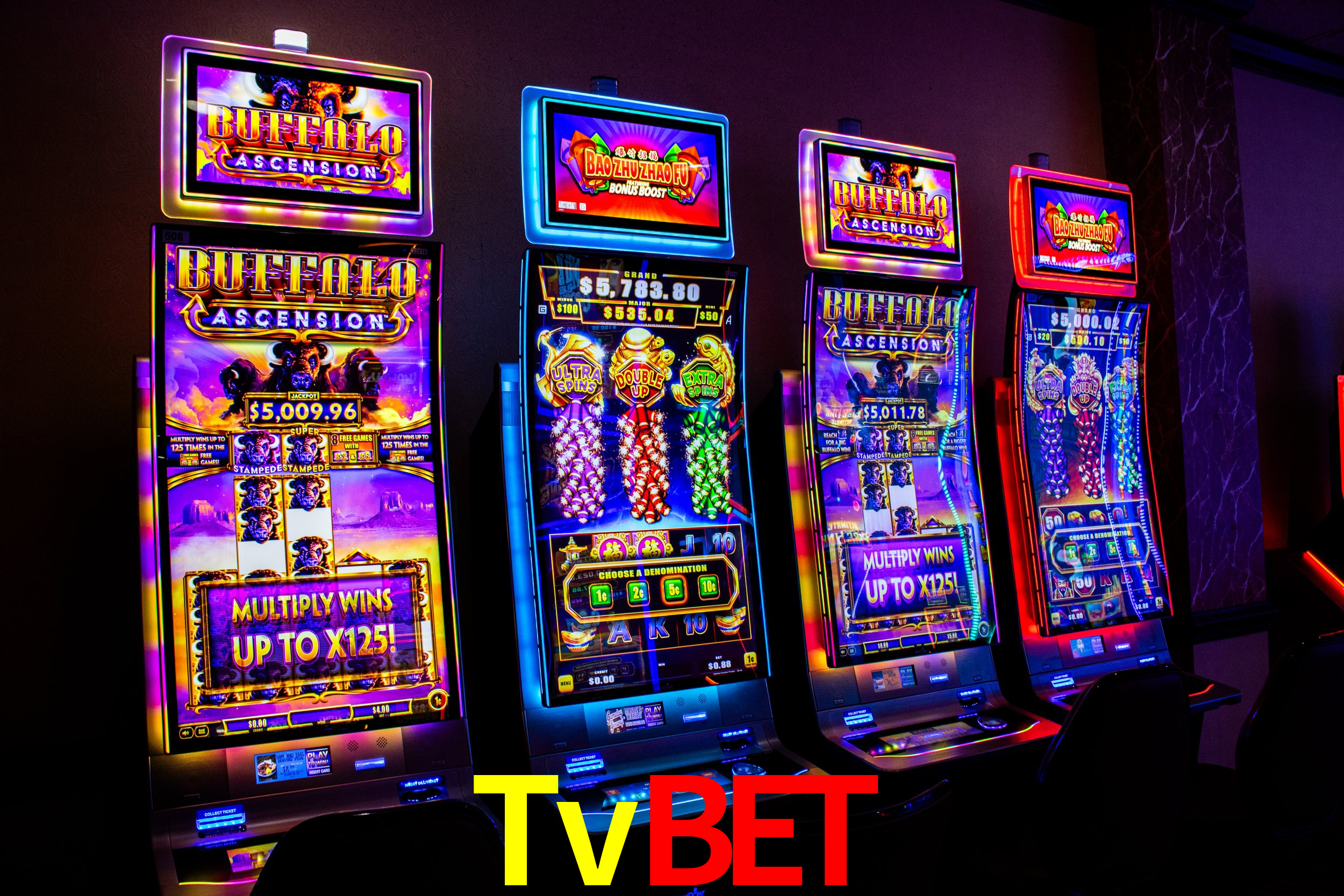 Tvbet